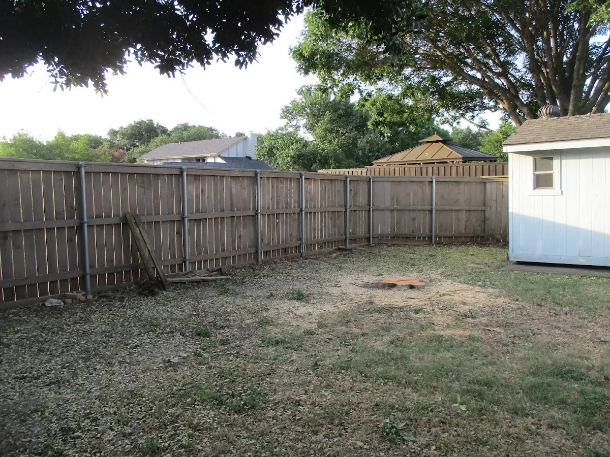 Cleared yard after professional tree removal in Aransas Pass