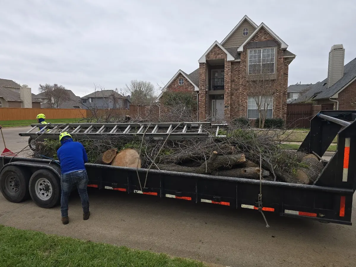 Expert Crown Reduction with proper safety equipment in Aransas Pass